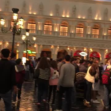 The Venetian in Las Vegas