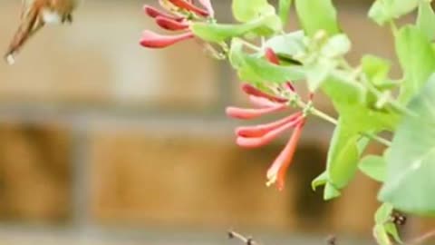 Don't Let your Future escape You