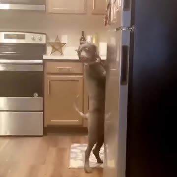 When pretend you didn't do it.😁