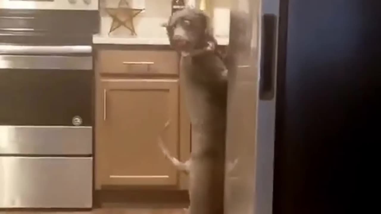 When pretend you didn't do it.😁