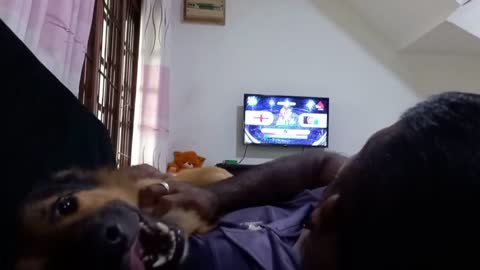 Bruno-how did Dad and Bruno watch the cricket match