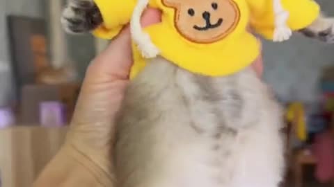 BABY WITH CLOTHES