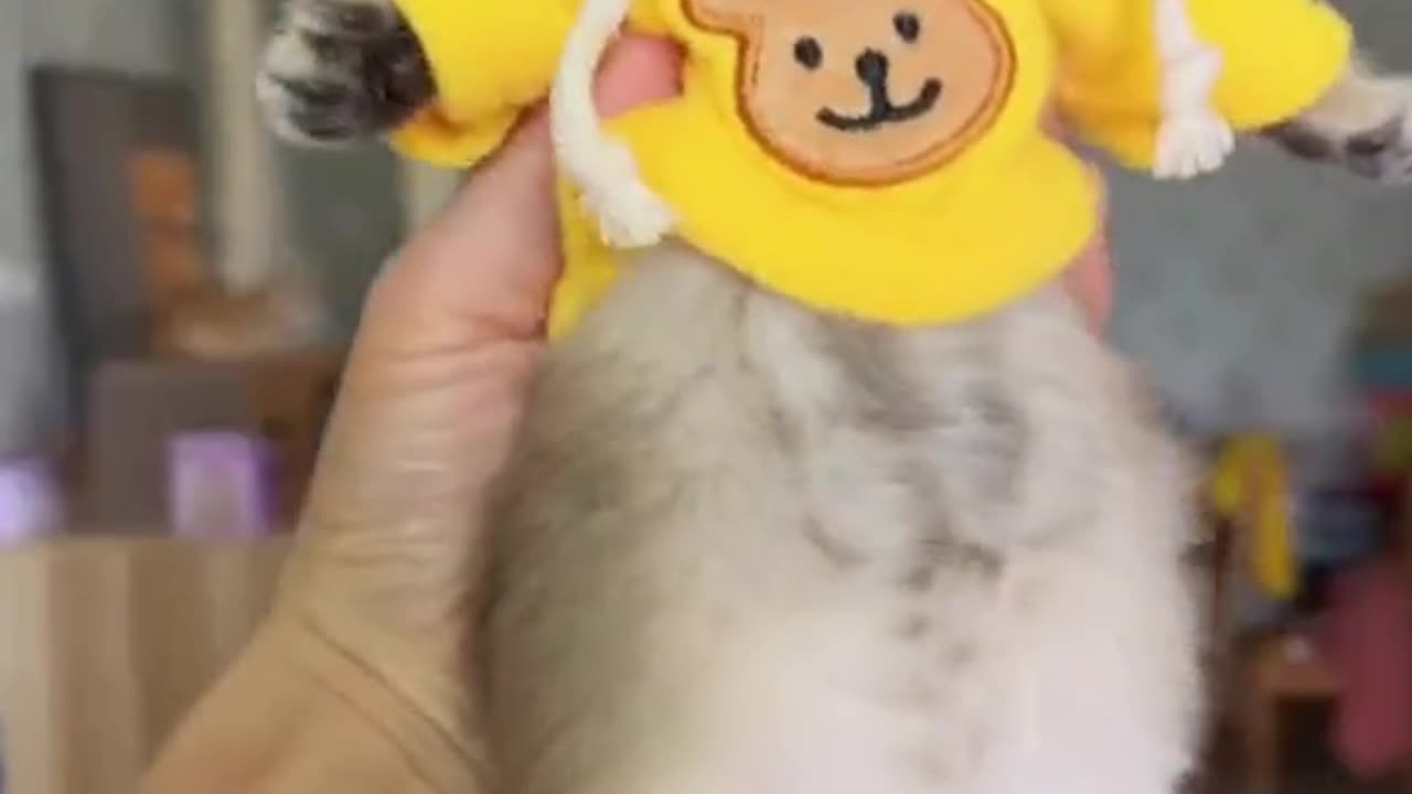 BABY WITH CLOTHES