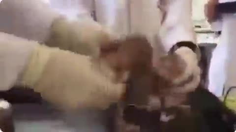 Evil Exists - WARNING! Sick Video of Doctors play with aborted Babies