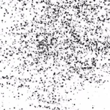 The Epic Adventures Of Mr FlannelFoot