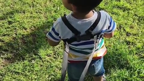 Baby Pro Max