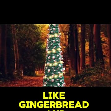 Christmas Tree Traditions Around the World!