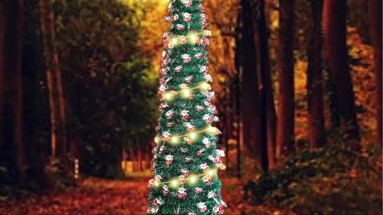 Christmas Tree Traditions Around the World!