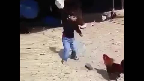 Boy play with chiken