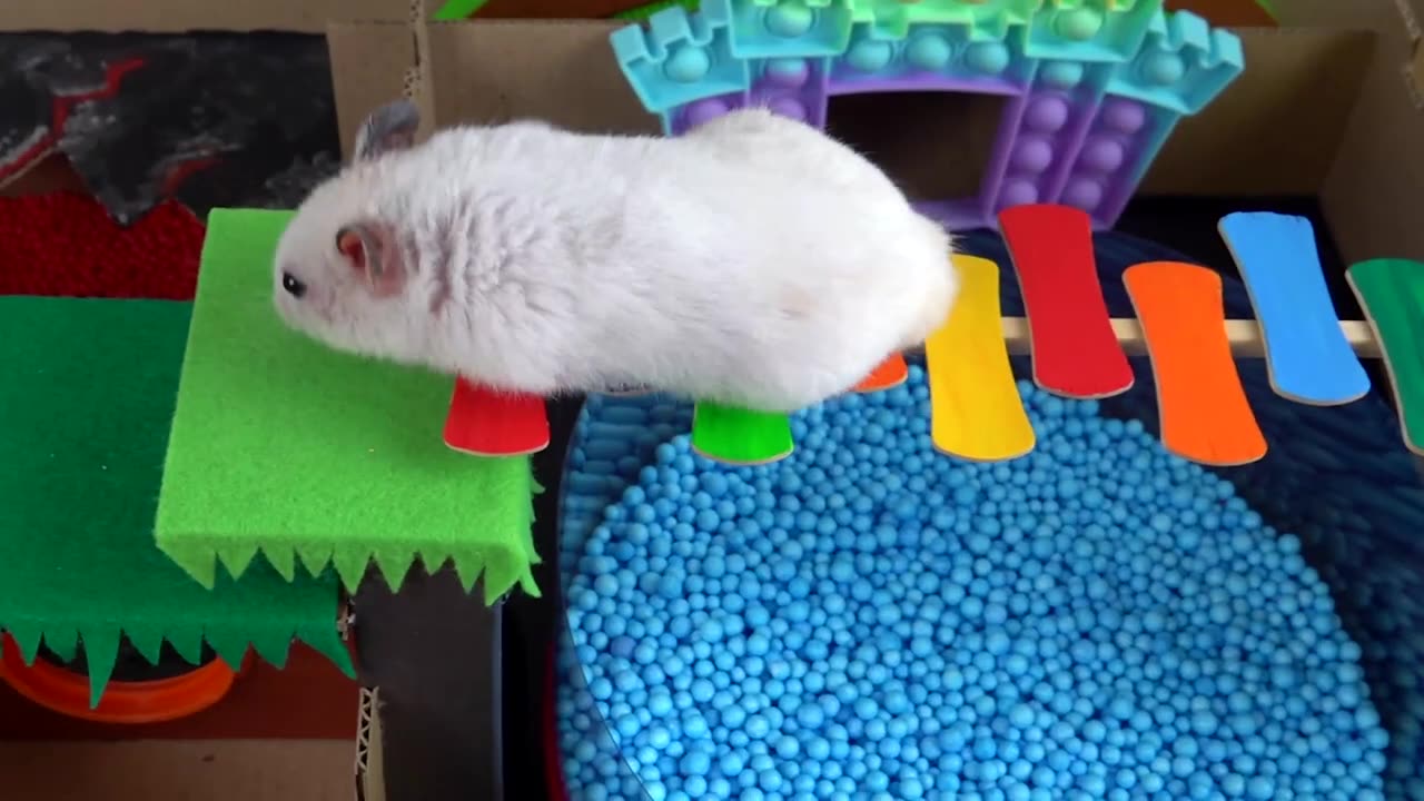 Hamster Colorful DIY Pop It Maze - Obstacle Course with Ball Pool