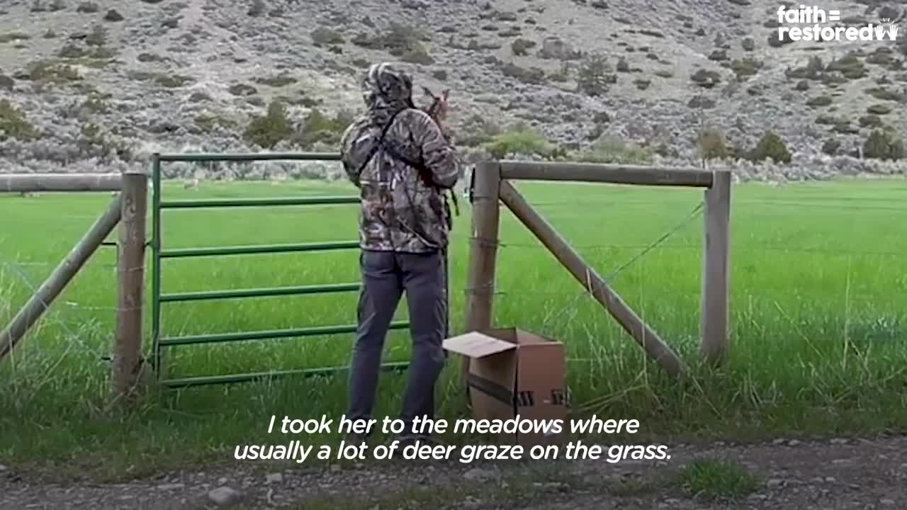 Injured Fawn Deer In Rocky Mountains Gets Adopted | The Dodo Faith = Restored