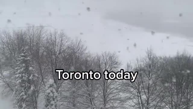 Weather changes in Toronto, Canada 🇨🇦 warm - cold winter