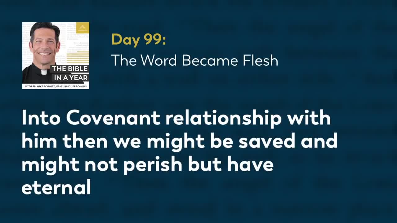 Day 99: The Word Became Flesh — The Bible in a Year (with Fr. Mike Schmitz)