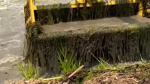 Máy xúc video triệu view #353 #shorts