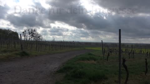 Borbetomagus via 👉 YT Im Nebel der Geschichte (Teil 3)