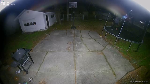 Neighborhood Shooting Interrupts Trampoline Session