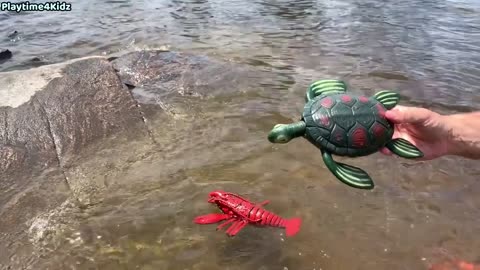 Sea Animal Toys Summer At the Shore - Videos for kids