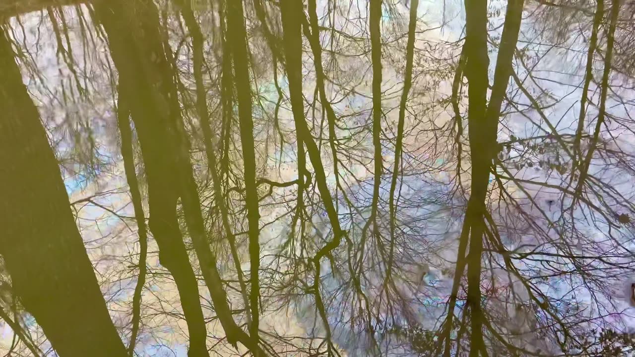 The Crazy Contaminated Water in East Palestine, OH