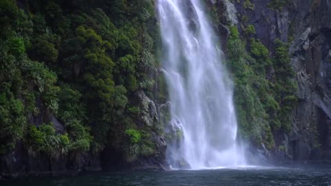 Amazing New Zealand Landscapes _ Fiordland