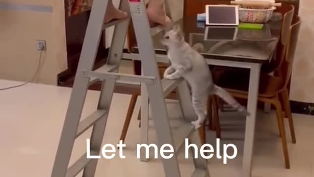 very helpful