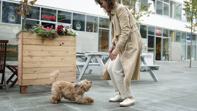 The dog loves its owner