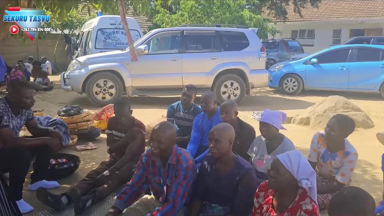 Traditional healers in zimbabwe