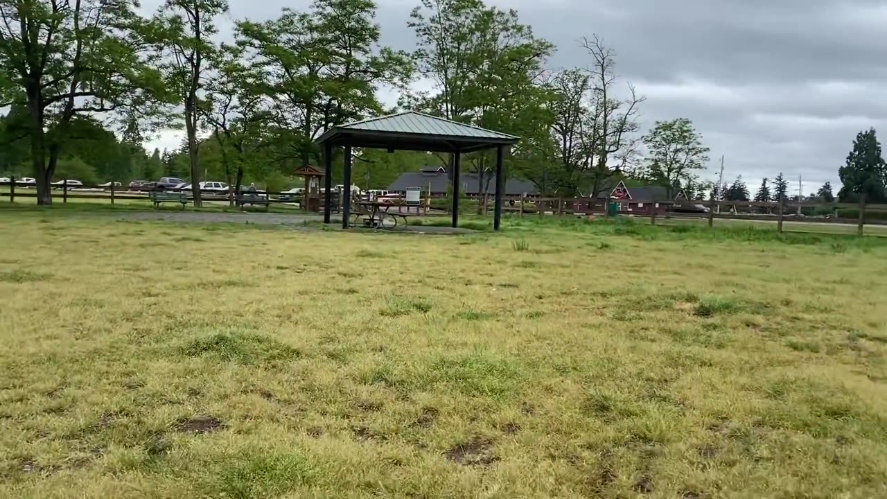 German Shepherd Attacks Pitbull [OFF LEASH PARK]