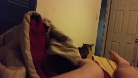 pussee extender