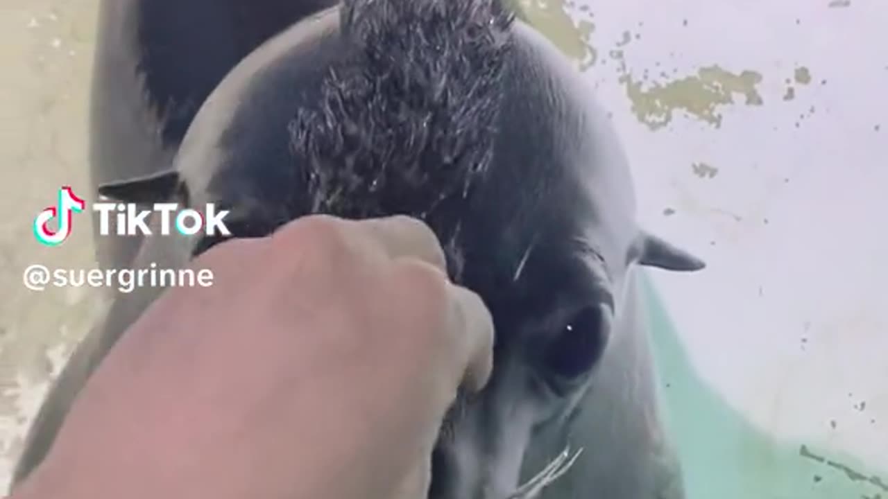 Hair style