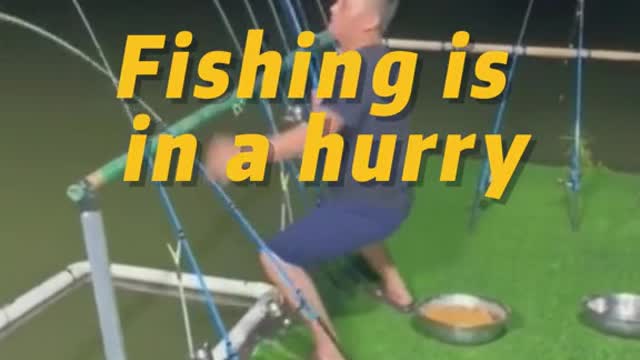 Fishing is in a hurry