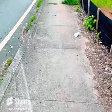 Work the body, don’t let it work you! #shorts