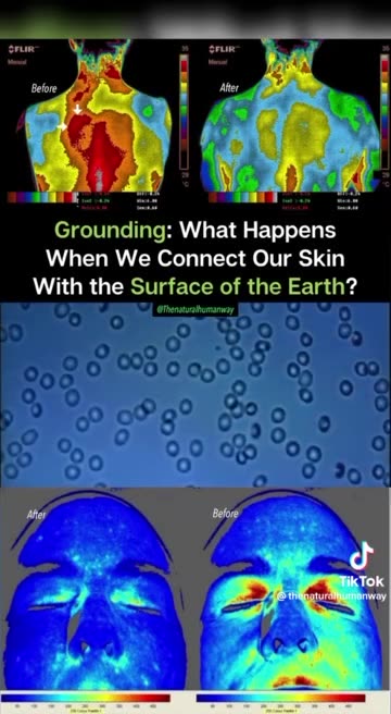 GROUND WITH THE EARTH🧘‍♀️🌐EARTH CONNECTS WITH OUR BODIES🧘‍♂️🌎✨