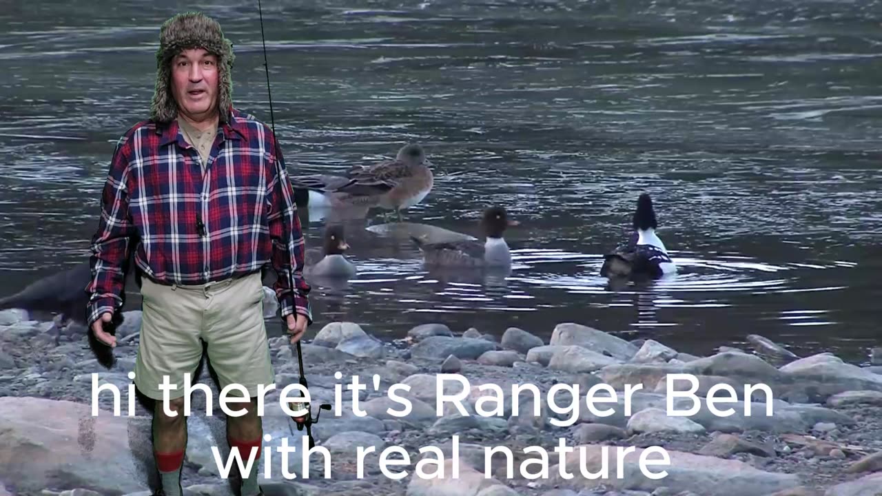 Ranger Ben finds danger and funny in Reel Nature