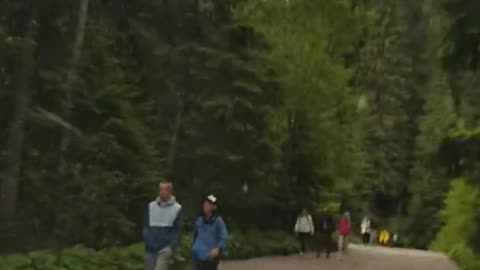 Карпаты.