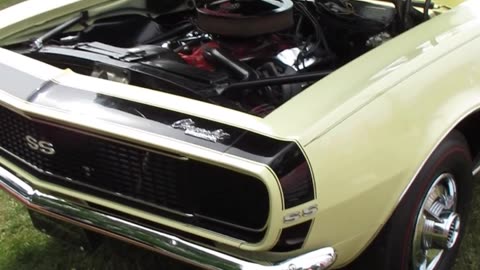 1967 Chevrolet Camaro 396 SS Unrestored Original