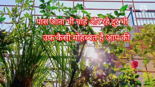 Good morning shayari mohabbat shayari entertaineg Rk kumari ki shayari20021 ki love shayari