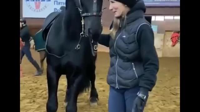 Horse SOO Cute! Cute And funny horse Videos Compilation cute moment #20