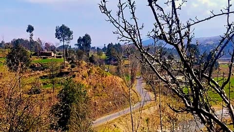 Kotli Bala || Mansehra || KPK || Pakistan