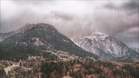 Lt Music, is a channel dedicated to a new concept of varied music