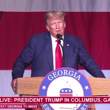 I put everything on the line and I will never yield