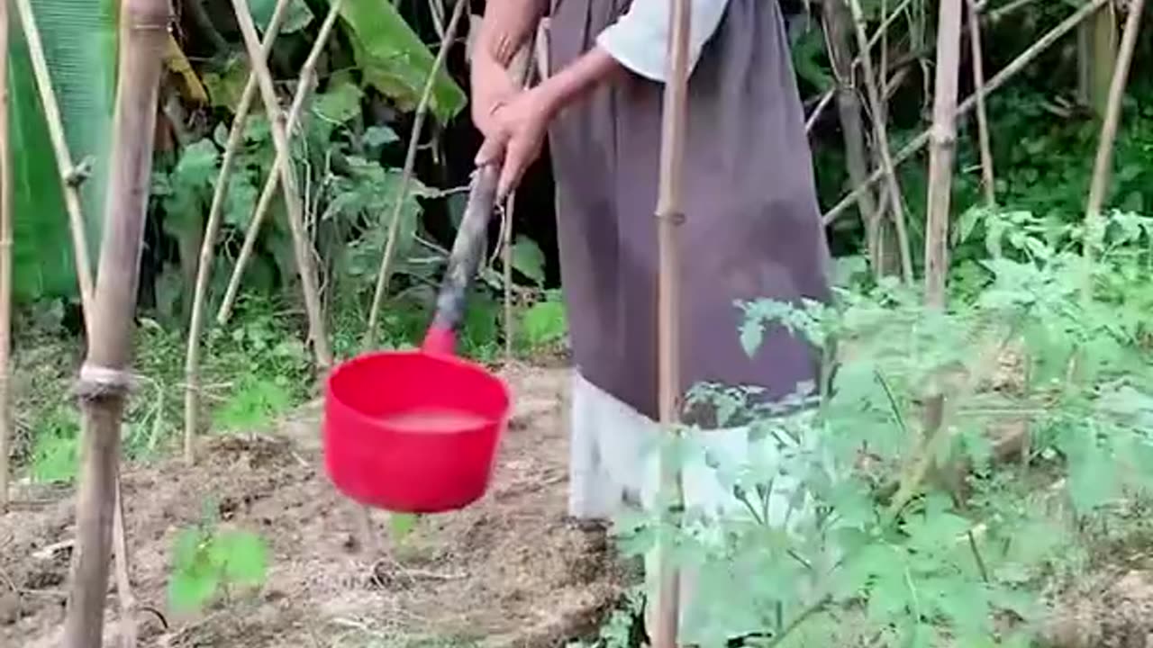 Enjoy beautiful nature with rural life