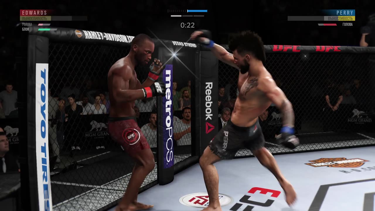 PS4 bot Leon Edwards vs user Mike Perry