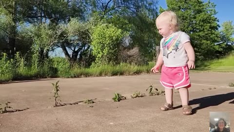 funny kids meet animals for the first time