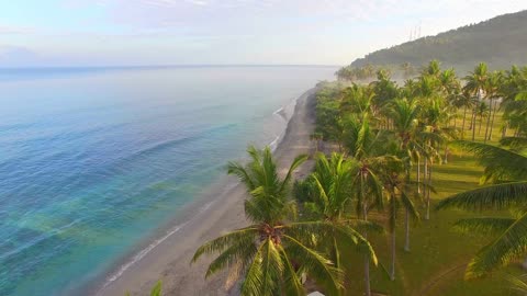 Past the palm trees along the beach