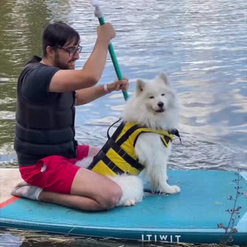 "A year in the life of a playful pup"