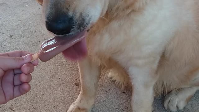 🤣🤣🤣ela também merece!!!