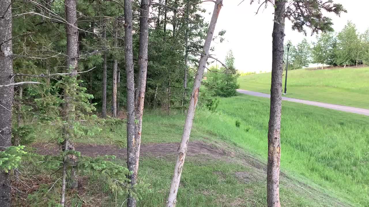 Mountain Bike Whip off by Mohammed and and his son