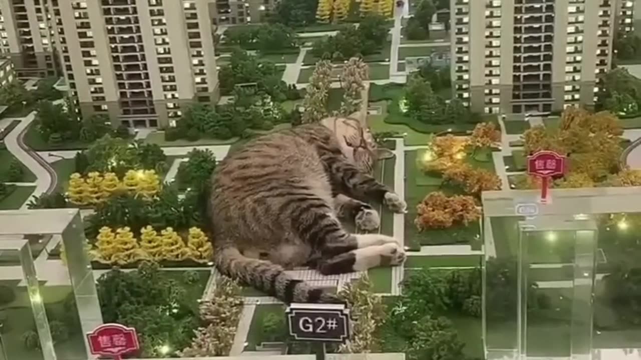 Funny animals 2023😆
