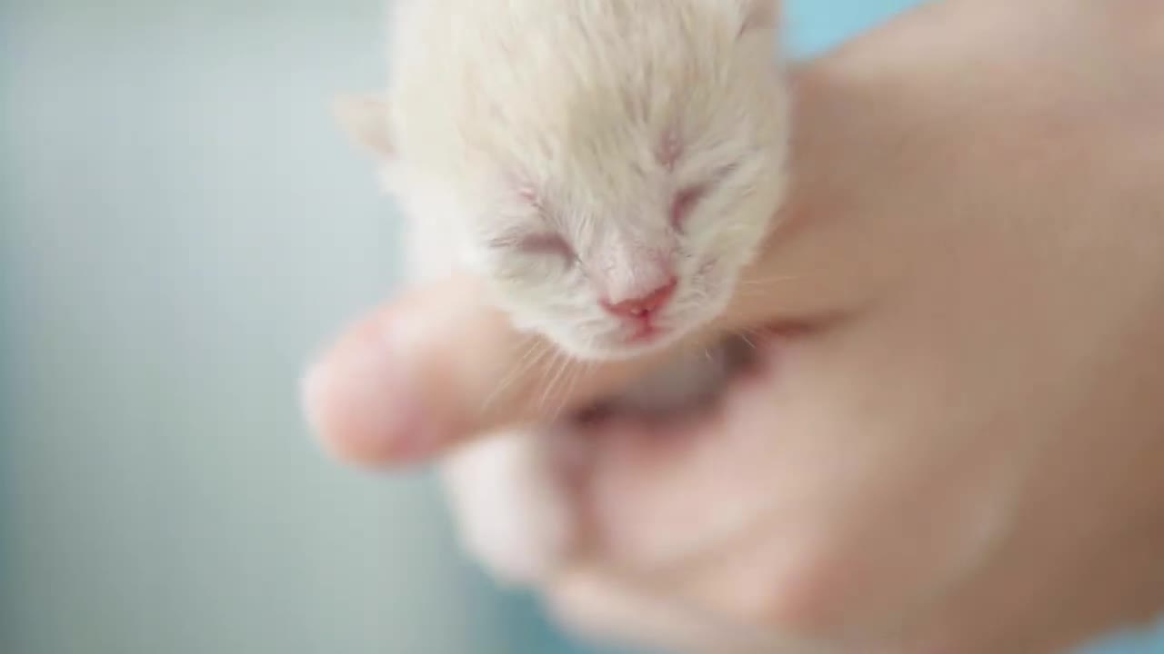 He dared to yell at me just 2 hours after he was born