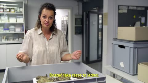 Celtyckie kobiety